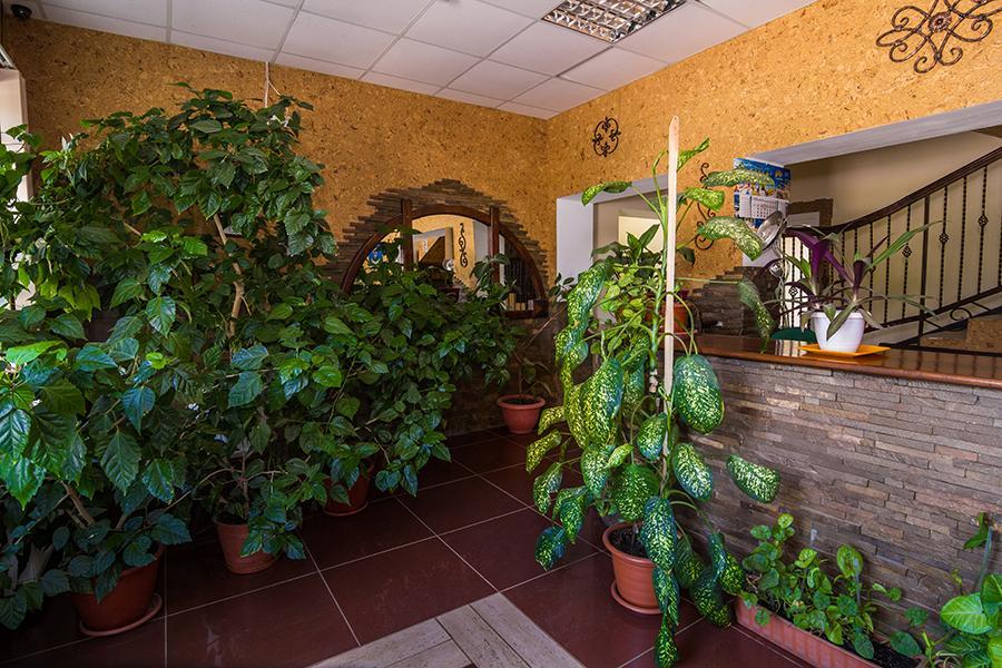 Citadella Hotel Szkadovszk Kültér fotó