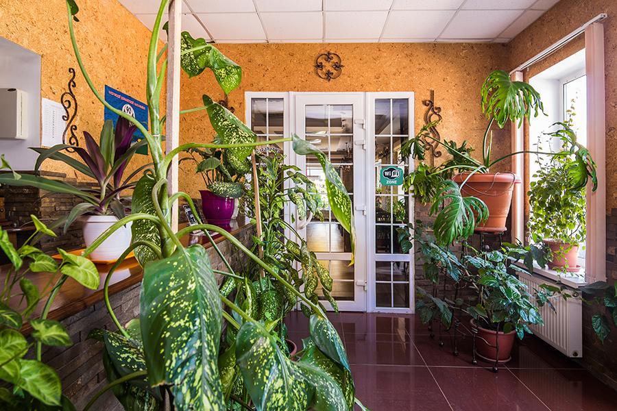 Citadella Hotel Szkadovszk Kültér fotó